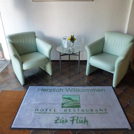 Hotel Zur Flueh باد ساكنغن المظهر الخارجي الصورة