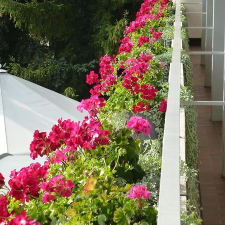 Hotel Zur Flueh باد ساكنغن المظهر الخارجي الصورة