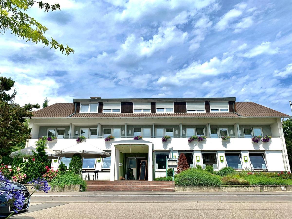 Hotel Zur Flueh باد ساكنغن المظهر الخارجي الصورة